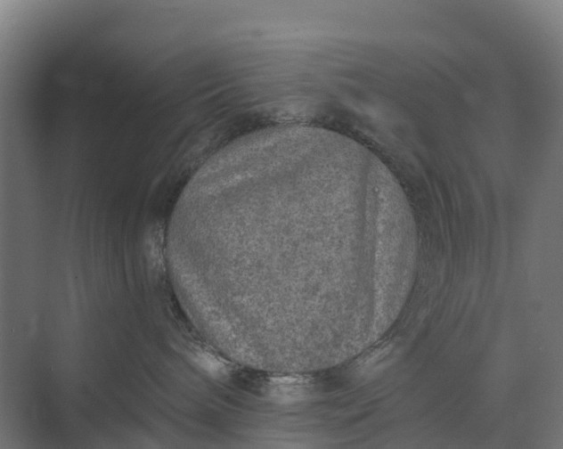 X0000074960240200609152104