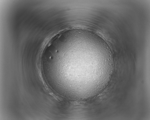 X0000074960241200609152104