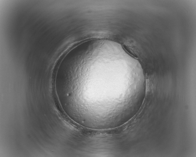 X0000074960243200609152104