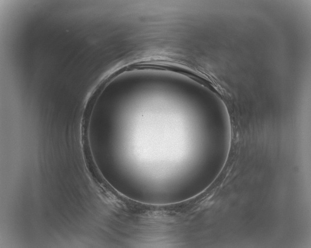 X0000074960244200609152104