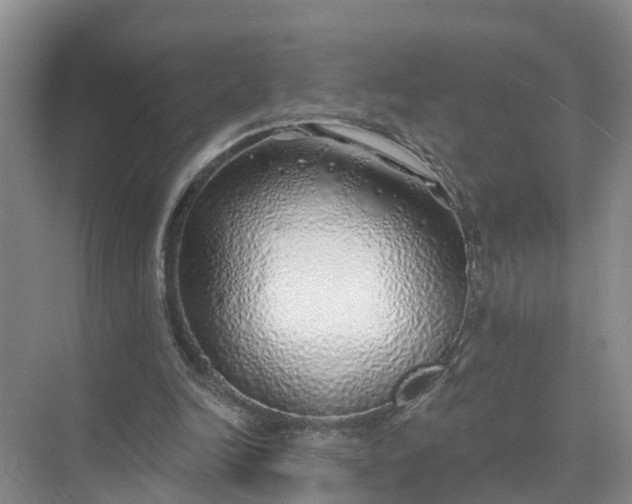 X0000074960246200609152104