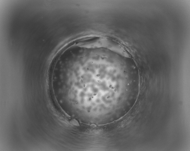 X0000074960247200609152104