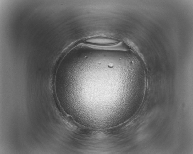 X0000074960249200609152104