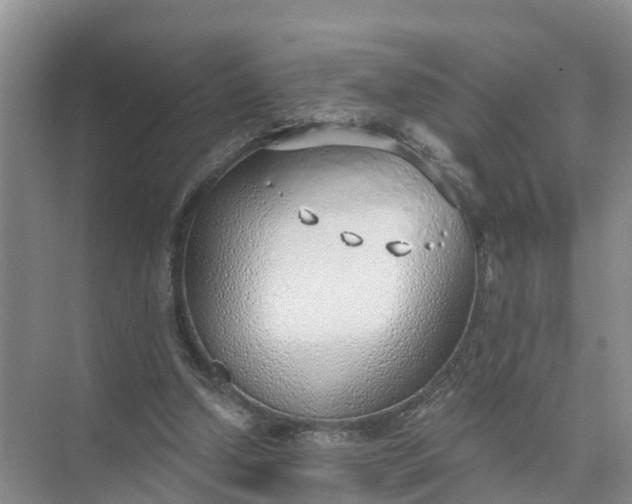 X0000074960250200609152104