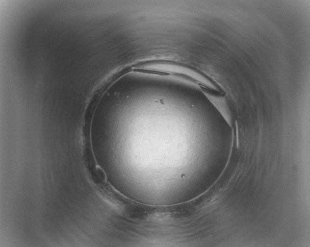 X0000074960252200609152104