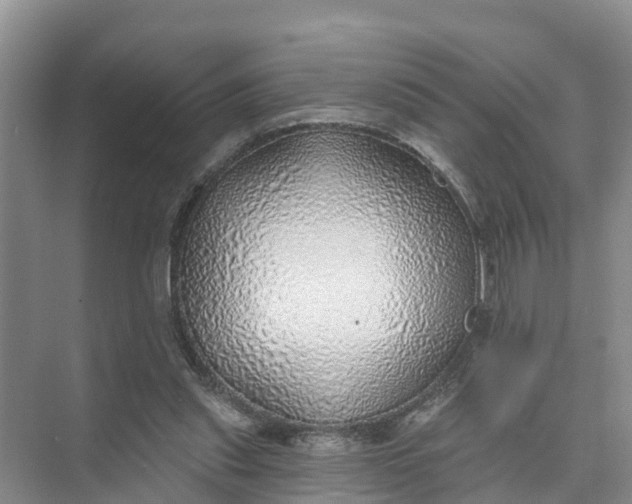 X0000074960253200609152104