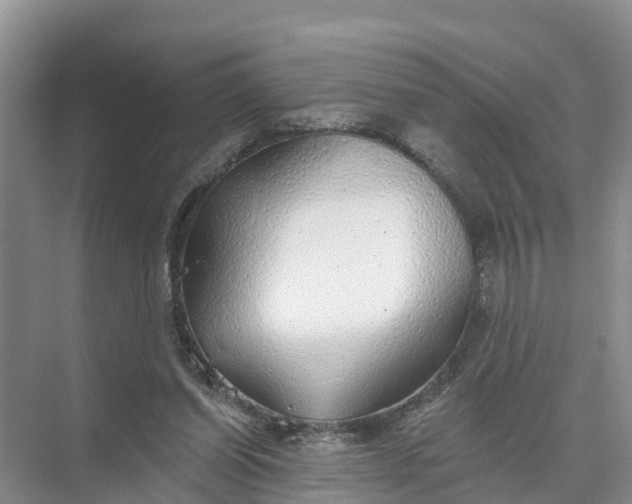 X0000074960254200609152104