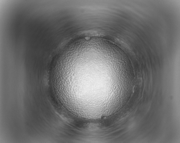 X0000074960255200609152104