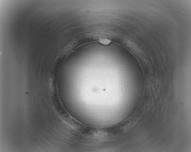 X0000074960258200609152104