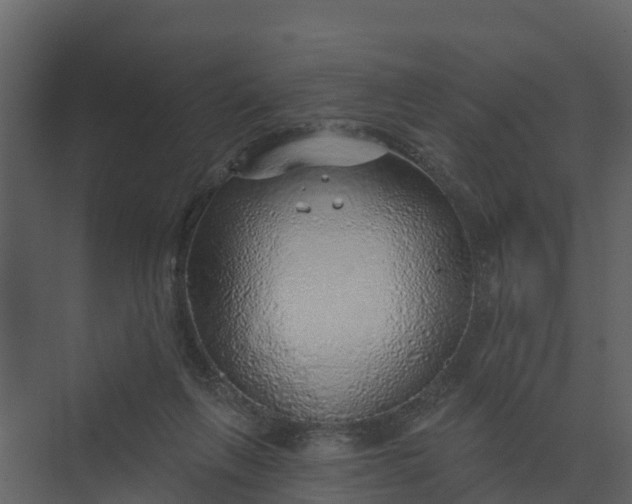 X0000074960263200609152104