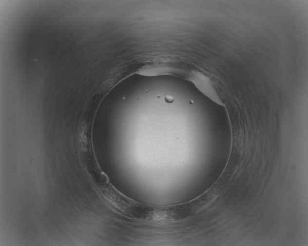 X0000074960264200609152104