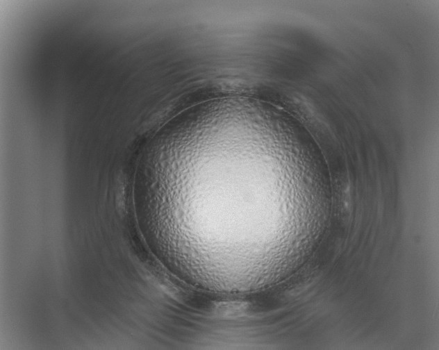 X0000074960266200609152104