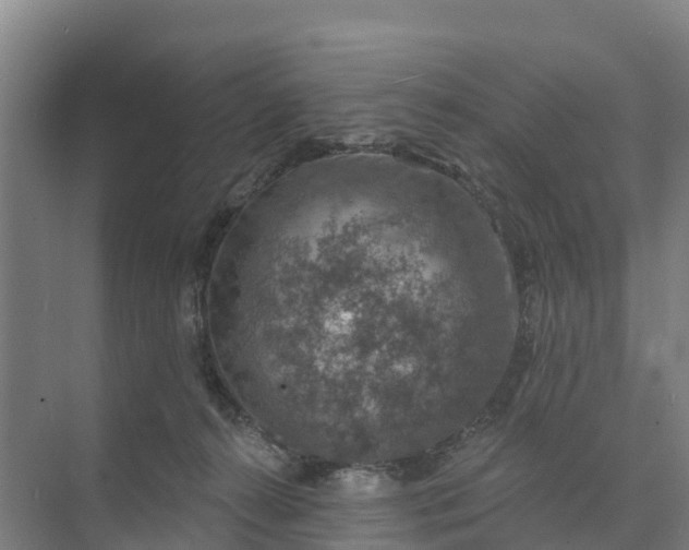 X0000074960272200609152104