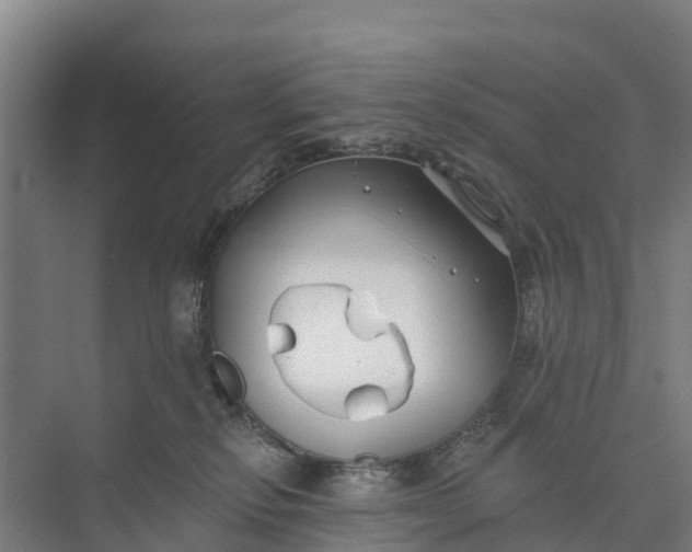 X0000074960278200609152104