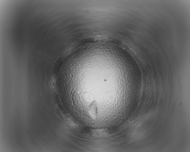 X0000074960281200609152104