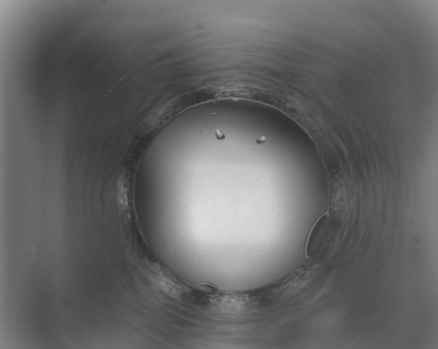 X0000074960282200609152104