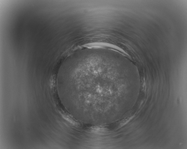 X0000074960284200609152104