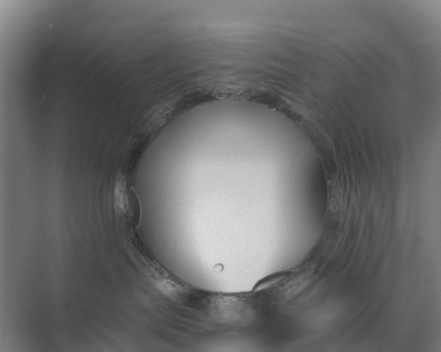 X0000074960287200609152104