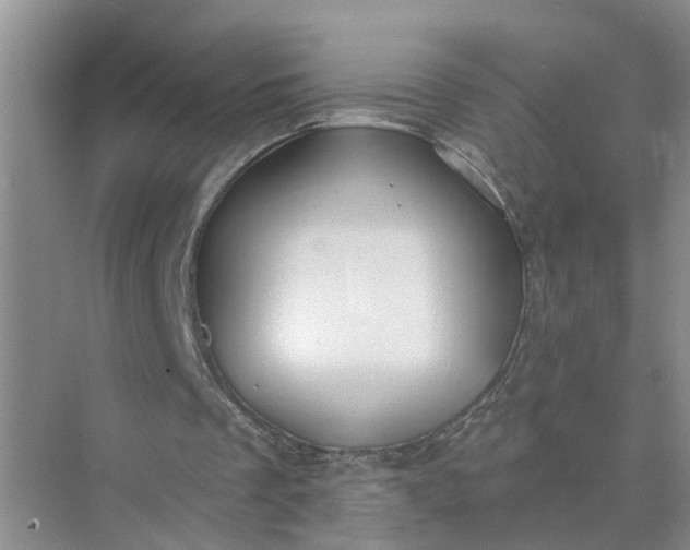 X0000074960289200609152104