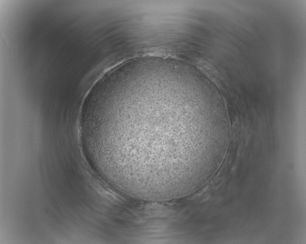 X0000074960290200609152104