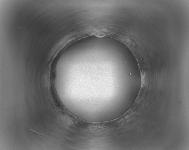 X0000074960291200609152104