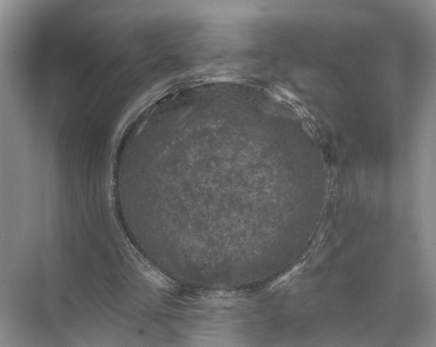 X0000074960293200609152104