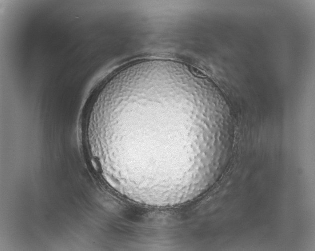 X0000074960294200609152103