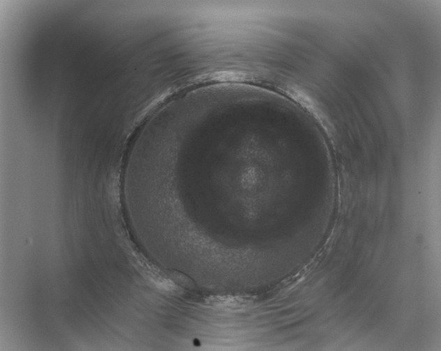 X0000074960297200609152103