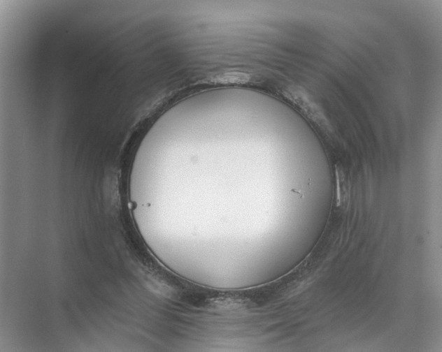 X0000074960300200609152103