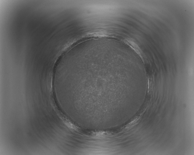 X0000074960301200609152103