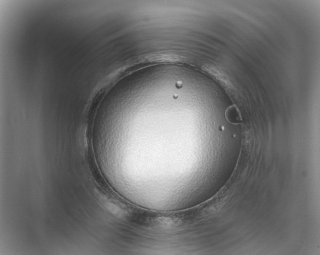 X0000074960302200609152103