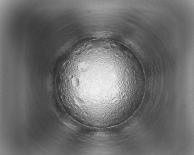 X0000074960303200609152103