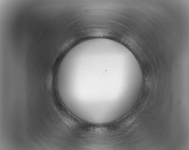 X0000074960304200609152103