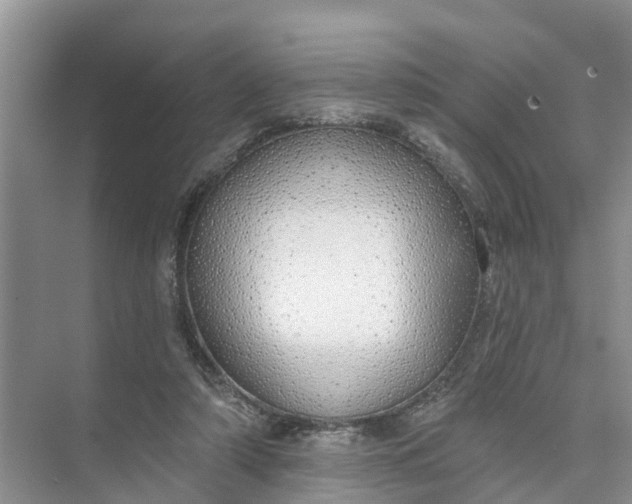 X0000074960306200609152103