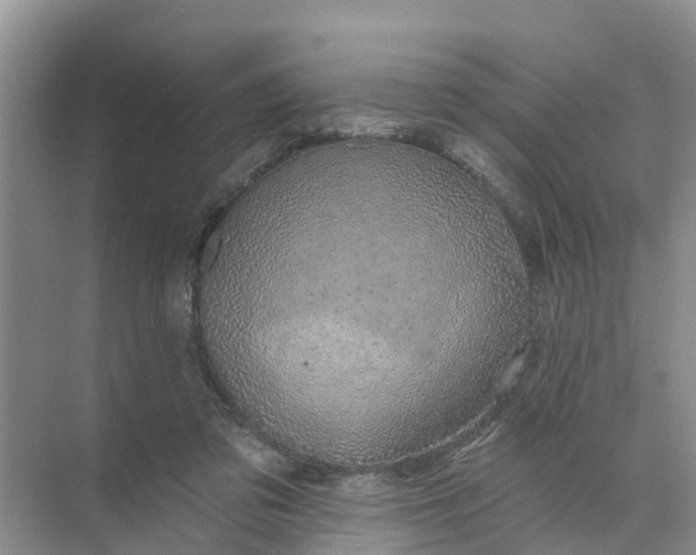 X0000074960309200609152103