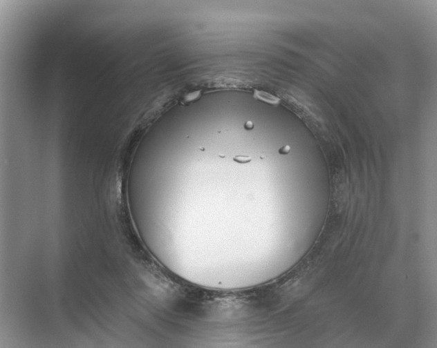 X0000074960310200609152103