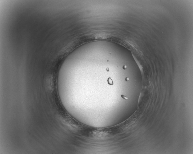 X0000074960311200609152103