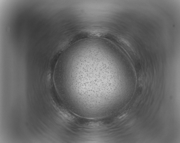 X0000074960314200609152103