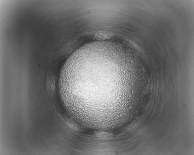 X0000074960315200609152103