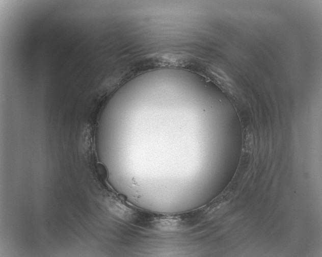 X0000074960318200609152103