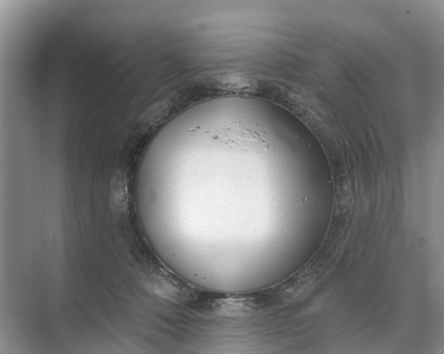 X0000074960320200609152103