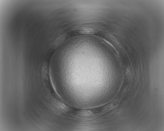 X0000074960322200609152103