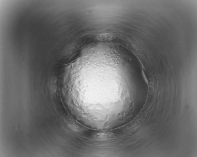 X0000074960323200609152103