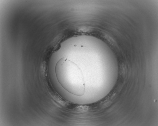 X0000074960328200609152103