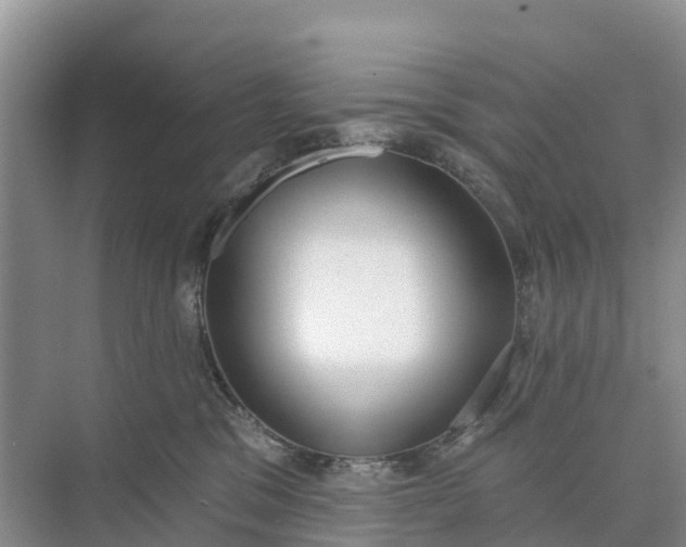 X0000074960329200609152103