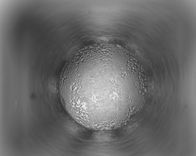 X0000074960331200609152103