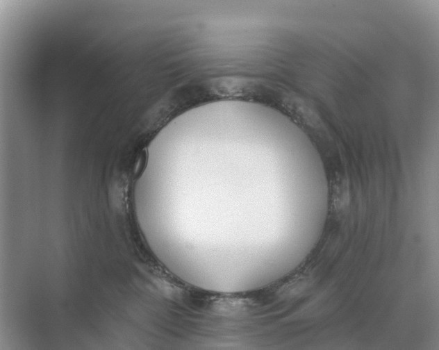 X0000074960332200609152103