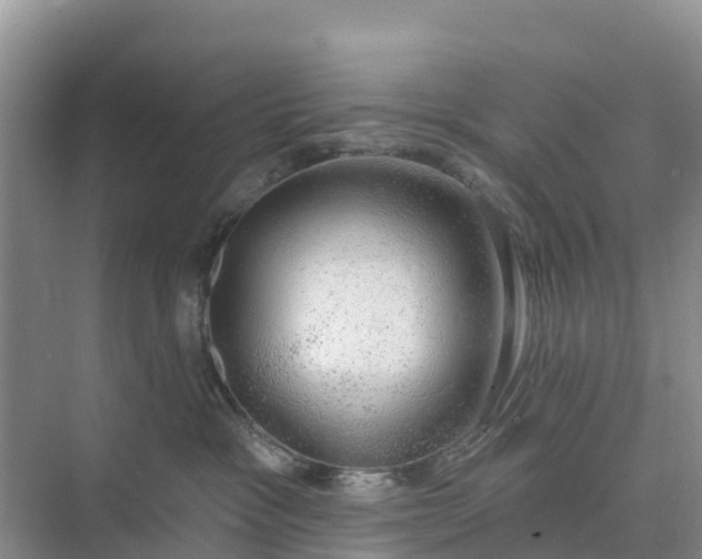 X0000074960333200609152103