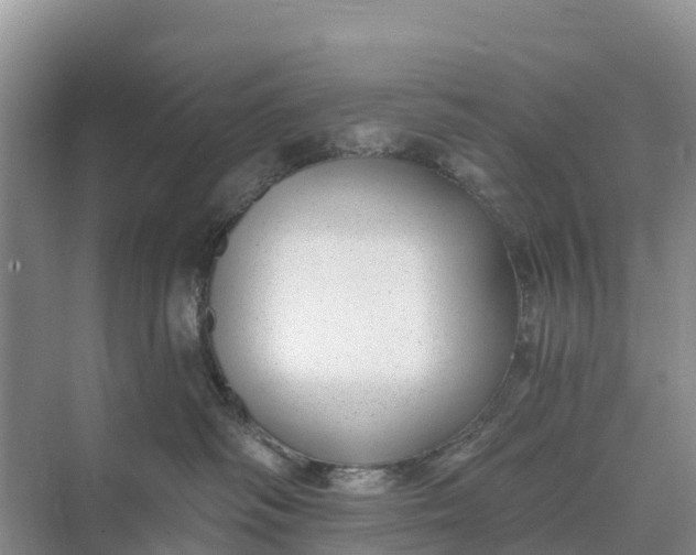 X0000074960334200609152103