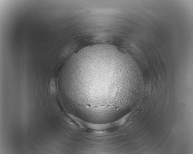 X0000074960335200609152103